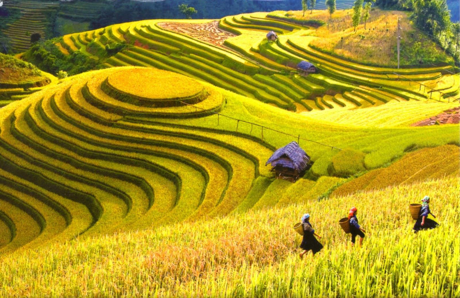 How to spend 48 hours in Sapa, VietNam